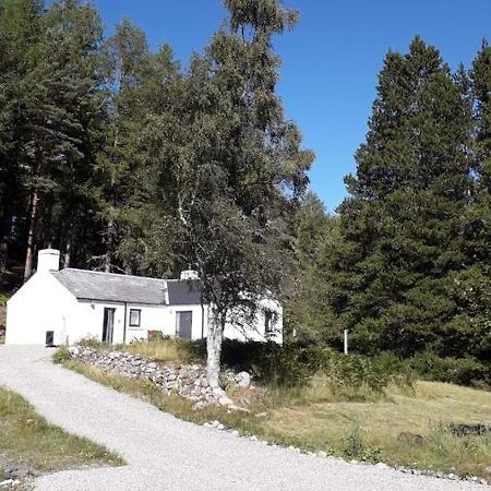 אינברנס Torgoyle Cottage מראה חיצוני תמונה
