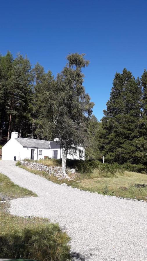אינברנס Torgoyle Cottage מראה חיצוני תמונה