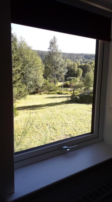 אינברנס Torgoyle Cottage מראה חיצוני תמונה