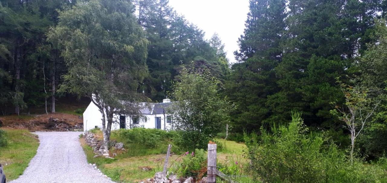 אינברנס Torgoyle Cottage מראה חיצוני תמונה